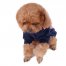 Autumn And Winter Casual Pet Warm Clothing Style:020