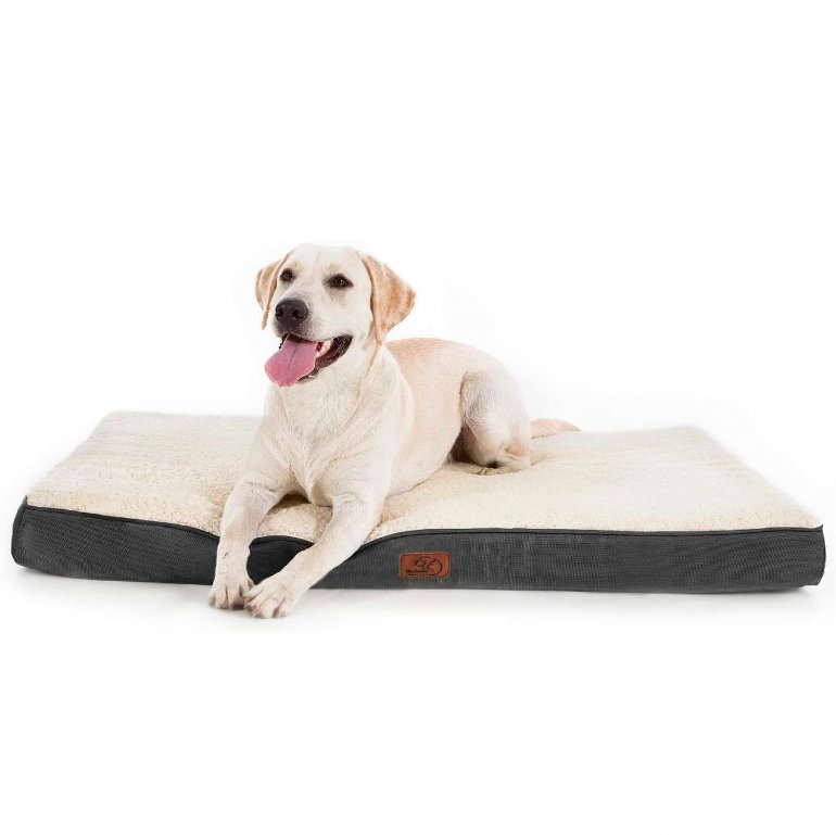 Dog Bed For Large Dogs - Big Orthopedic Dog Bed With Removable Washable Cover, Egg Crate Foam Pet Bed Mat, Suitable For 50 Lbs To 100 Lbs