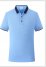 Summer Work Shirt T-Shirt Short-Sleeved Polo Shirt Lapel Sky Blue